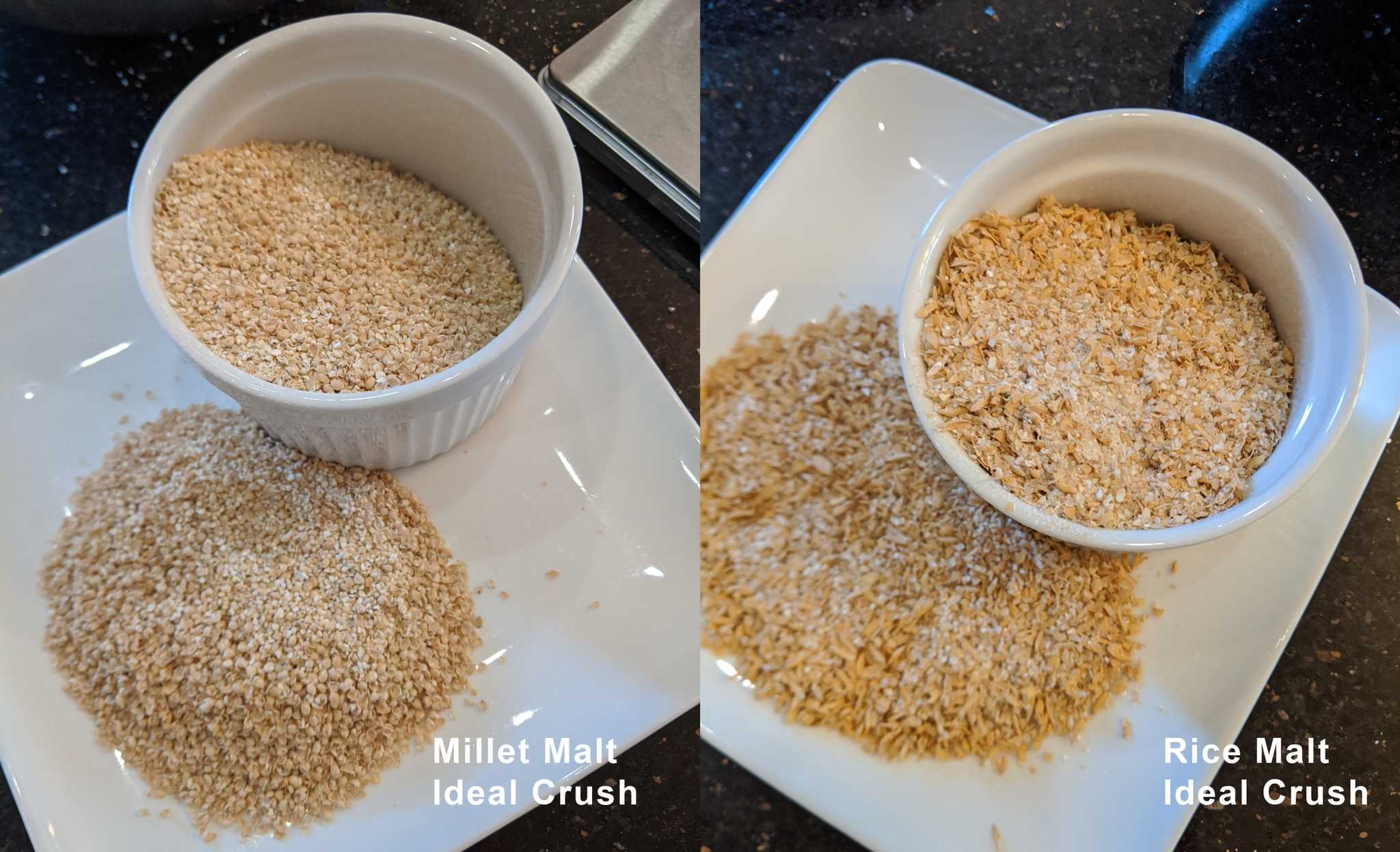 Photos of properly crushed malt